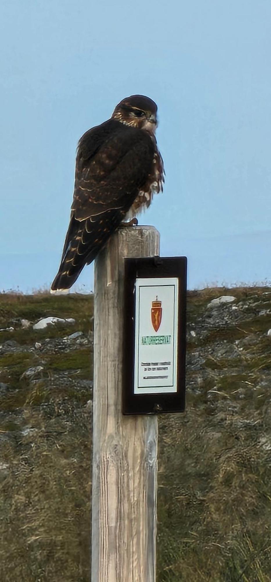 Gamvik Brakkebo As Hotel Buitenkant foto