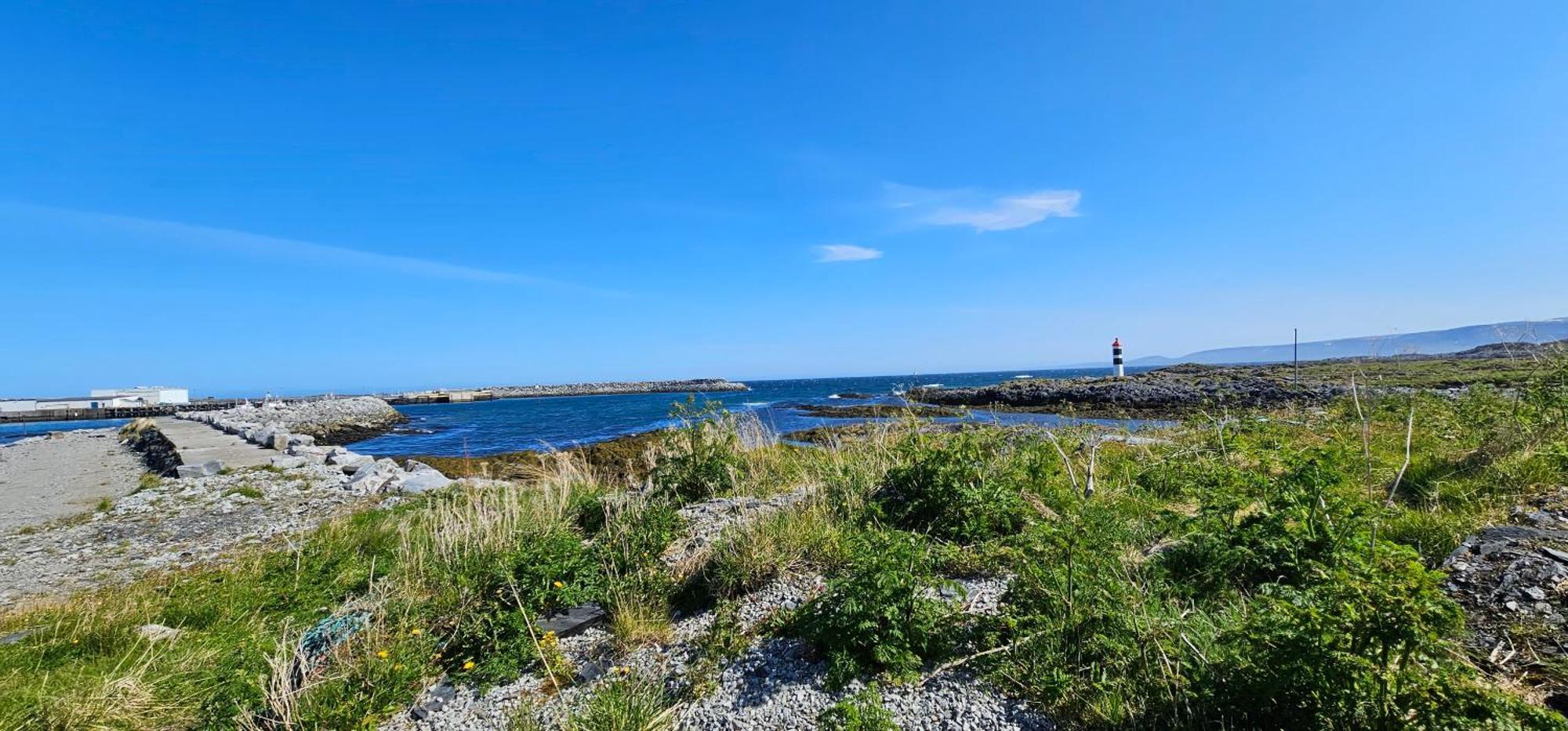 Gamvik Brakkebo As Hotel Buitenkant foto